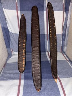 Set Of Three Seed Pods With Seeds In Them