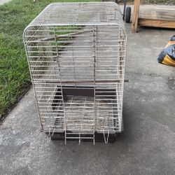 Bird Cage 