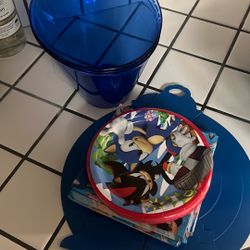 Leftover Sonic Party Stuff 