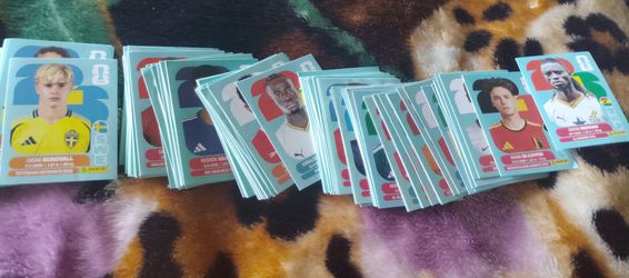 Bundle of panini