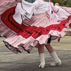 Sinaloa Folklorico dress