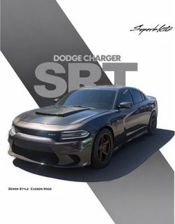 Demon Style  Carbon Charger Hood