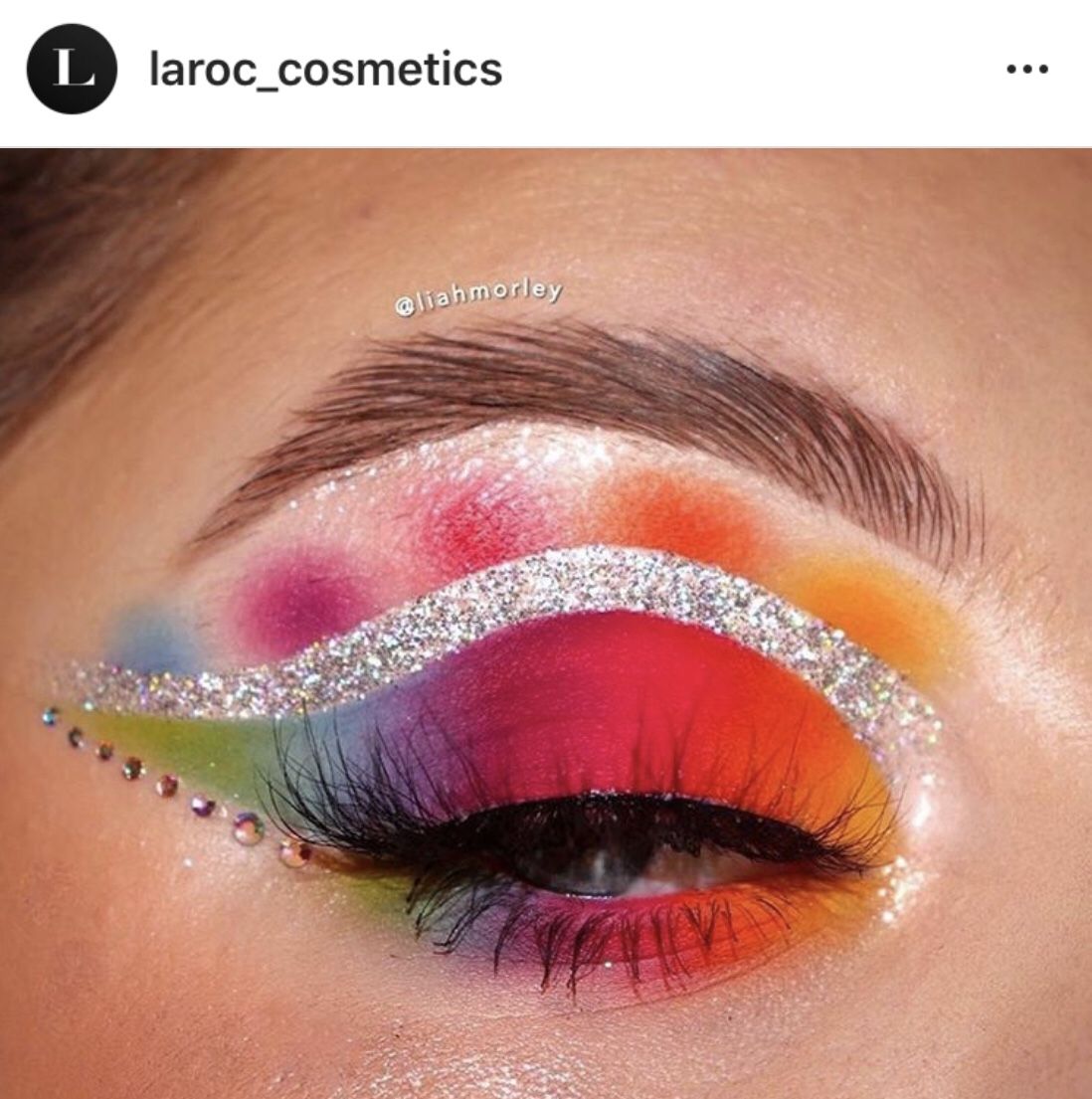 LaRoc Pro Artistry Eyeshadow palette