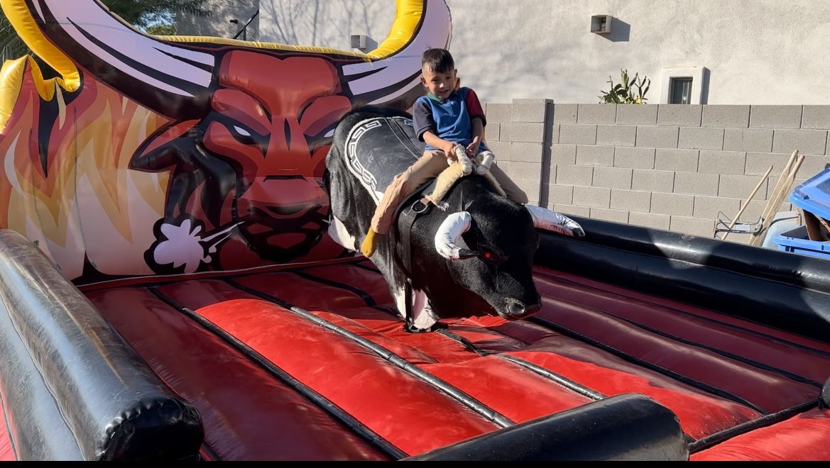 MECHANICALBULL