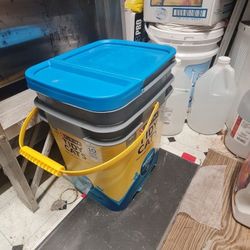  kitty litter + scratch pad.