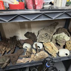 Driftwood, Lava Rock Etc