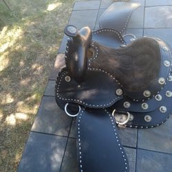 Horse Saddle🐴 For Phony
