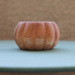 Succulent Pot Pumpkin Shaped Terracotta 