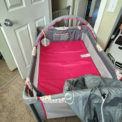 Graco Pack And Play Rose's