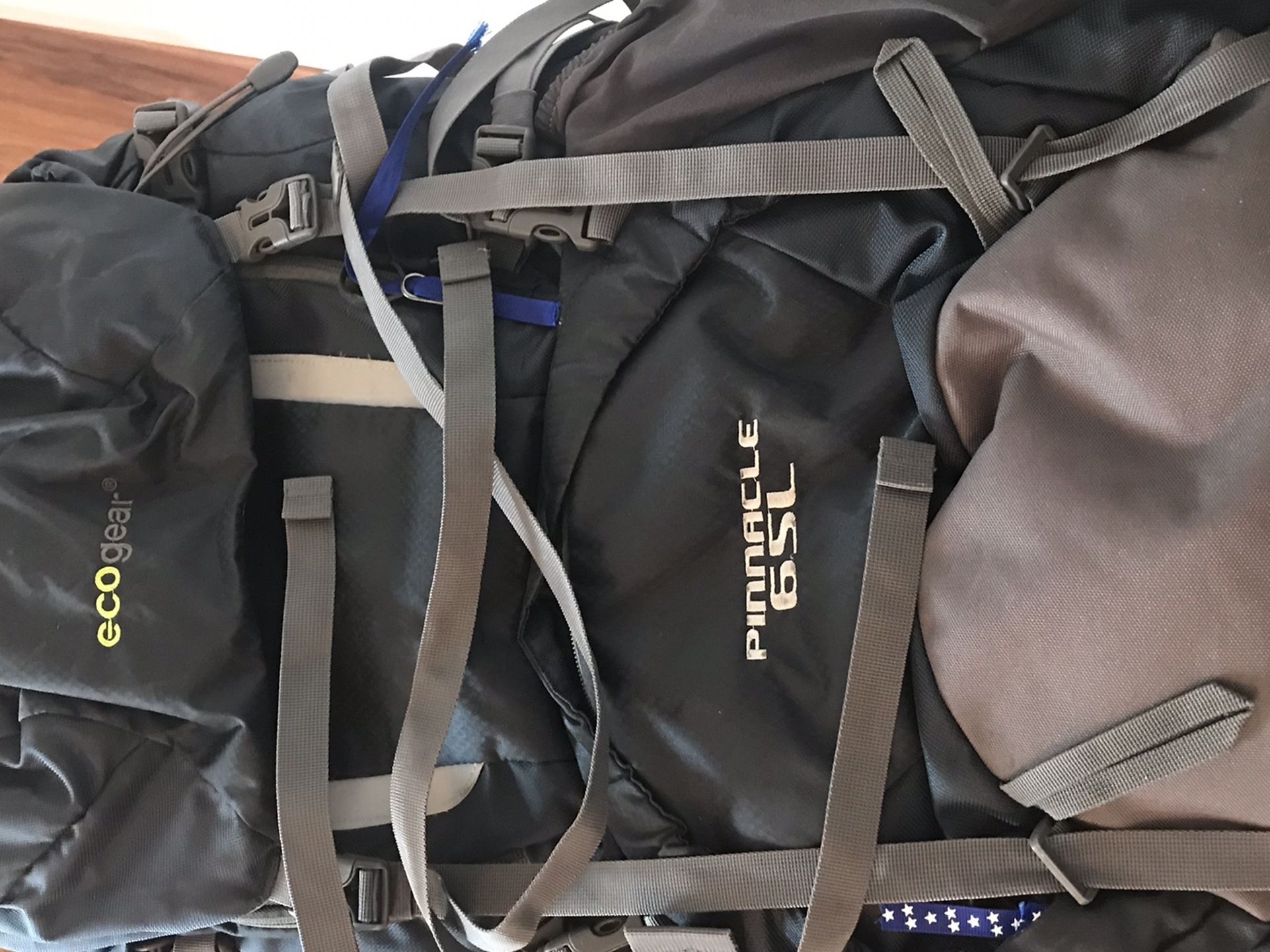 Traveling Backpack