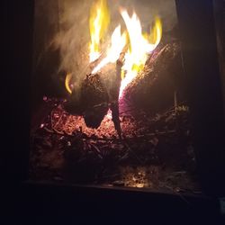 Firewood Mixed Or Oak
