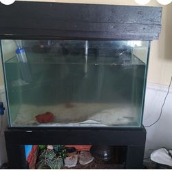 60 Gallon Tank And Stand