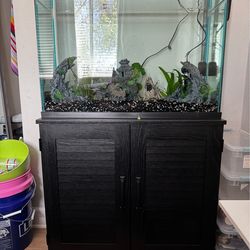 Fish Tank, Stand and accessories