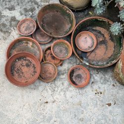 Terracotta And Plastic Saucers For Plants. 