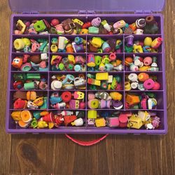 Shopkins with Case