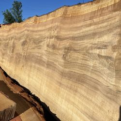 Myrtlewood Live Edge Slabs 