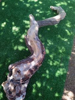 Driftwood For Aquariums Terrariums Decor