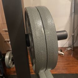 2 discs weider 35 pounds each