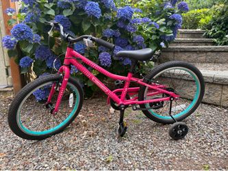 Guardian bike | 20” wheels (includes removable training wheels)
