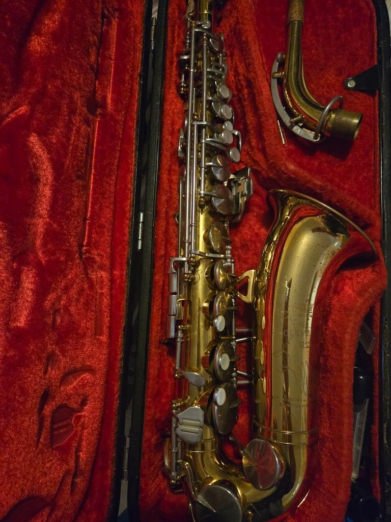 Saxophone Alto 🎷