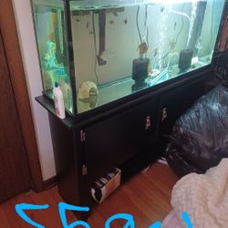 Fish Tanks
