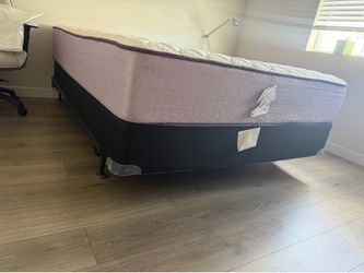 Queen Size bed free to go