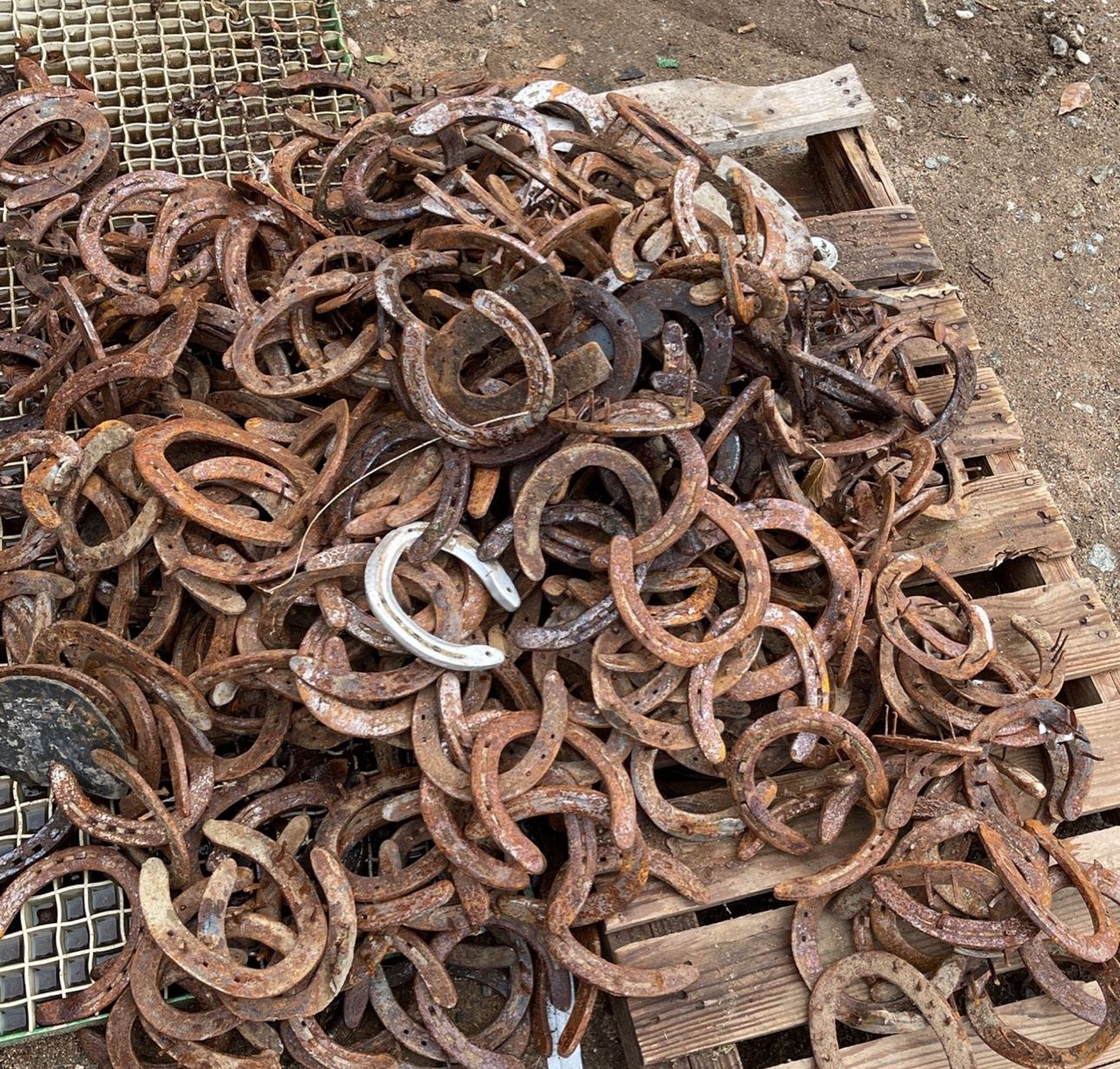 Rustic Horseshoes $1