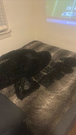 Adult Gorilla Suit