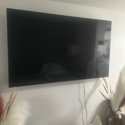 65 In Tv 