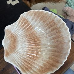 Porcelain Shell Bowl