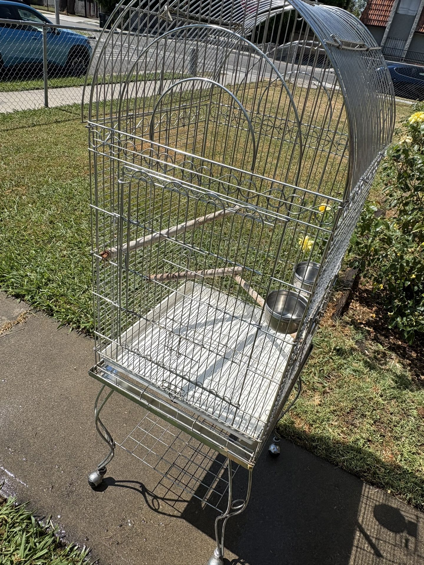 Bird Cage