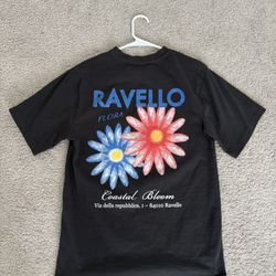 Graphic tee shirt