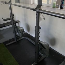 Squat Rack, Olympic Bar, Plates, Bench