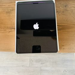 iPad Pro 12.9 Inch 6th Generation WiFi +cellular