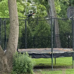 Free Trampoline 