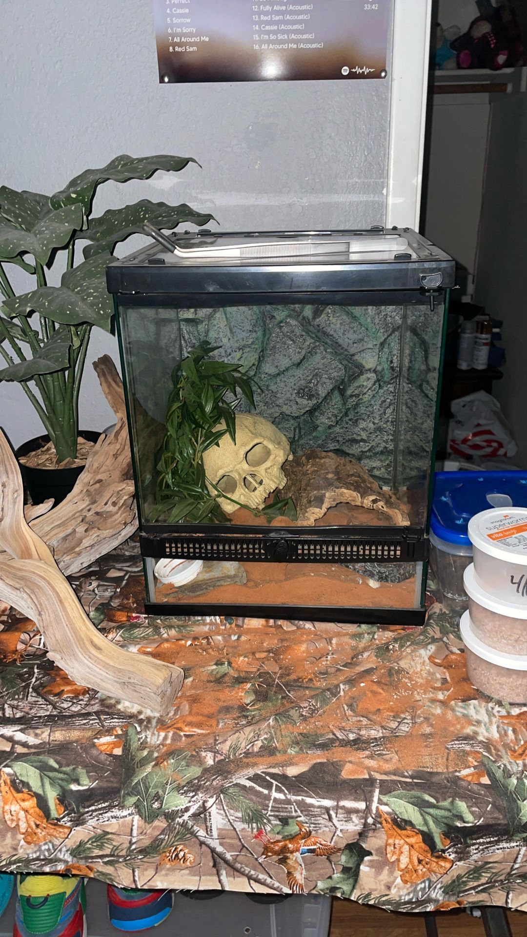 Zilla Terrarium