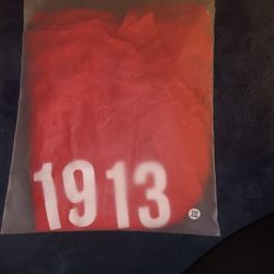 Delta Sigma Theta "1913 Cover Up"