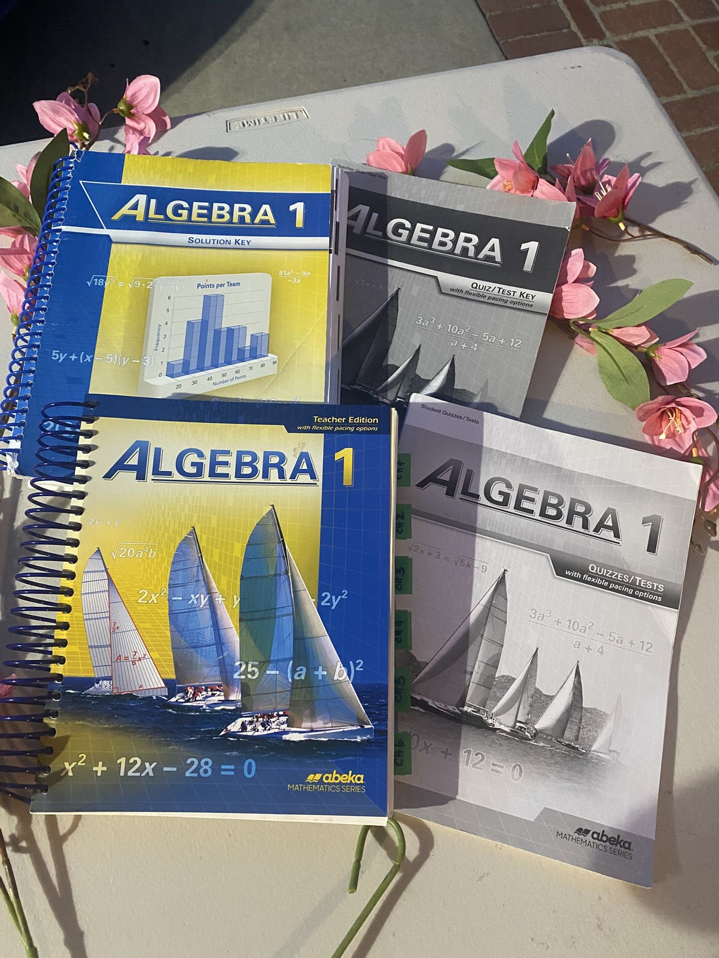 Abeka Curriculum ALGEBRA 1