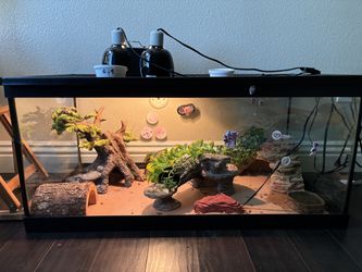 Reptile enclosure