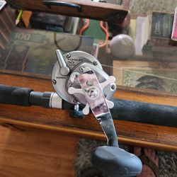 Salt water fishing rod & reel