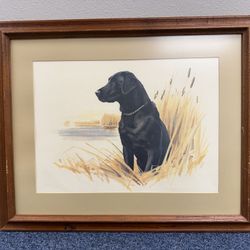 "Black Lab" by Elliott MCM Watercolor Print 20X16 Framed