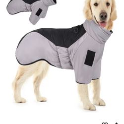 New Dog Coat 