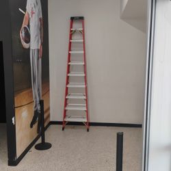 10 Ft Ladder 
