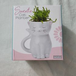 Cat Planter 
