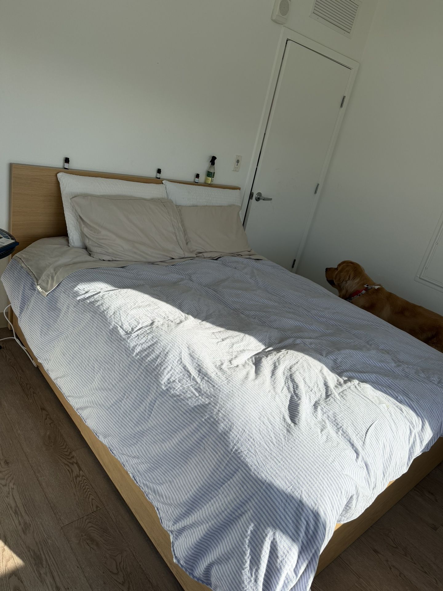 Seeking Queen Size Bed