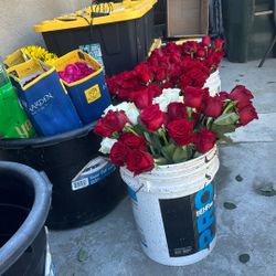 Valentine’s Day Flower Arrangements‼️‼️