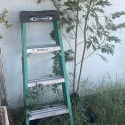 werner 4ft ladder 
