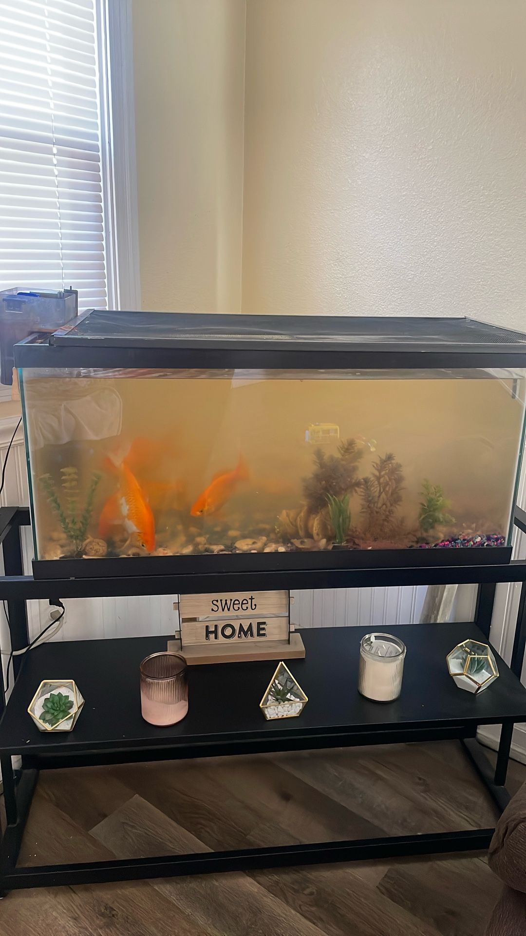 Fish Tank With Pump
