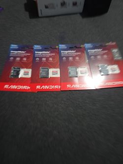 SanDisk 256 GB