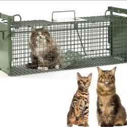 40" 2-Door Large Live Animal Traps for Stray Cats up to 17.6 pounds